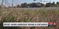 Bellevue police, AAA study say driver aggression is common on roads