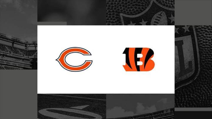 How to watch Bears vs. Bengals: TV channel and streaming options for November 2