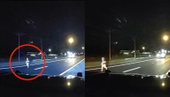 Insólito: policía evita tragedia al rescatar a niño que corría por autopista en EE.UU.
