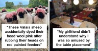 34 “Accidental Comedy” Pics That May Make You Laugh Harder Than You Should (New Pics)
