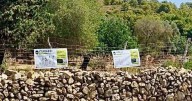 El Ajuntament d'Alcúdia denuncia a una plataforma vecinal por «acusaciones infundadas»