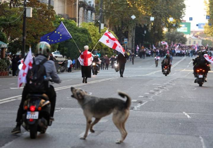 Georgian police clash with protesters as ruling party says it won local elections