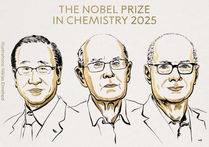 Premio Nobel de Química al desarrollo de las estructuras metalorgánicas