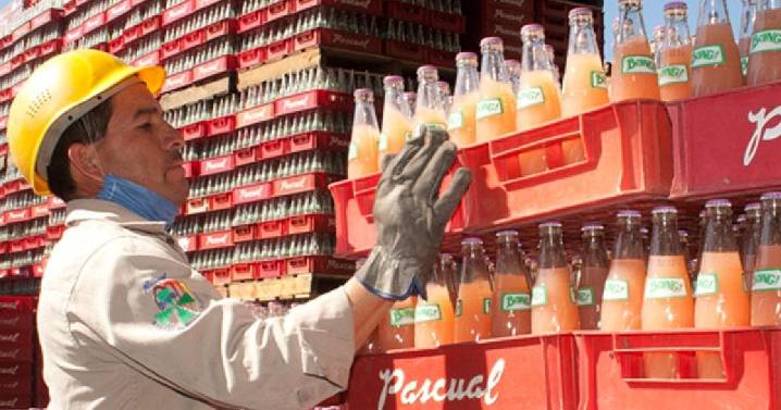 Boing en peligro: senadora alerta que el nuevo impuesto a bebidas podría llevarla a la quiebra