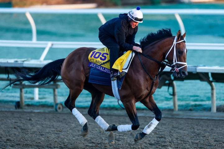 Deadspin | Breeders' Cup: Packed field for Classic despite Sovereignty scratch