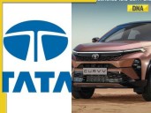 Why Tata Motors' shares plunged 40% today; know the real reason here