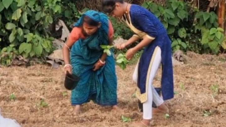 Cyclone Montha threat deepens woes of flood-hit farmers in Balasore