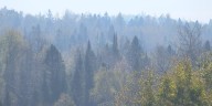 Crosby Fire grows to 210 acres on the North Shore