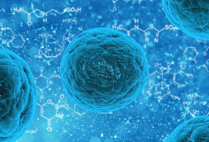 La OMS alerta: la resistencia a los antibióticos comunes se expande y amenaza la salud global