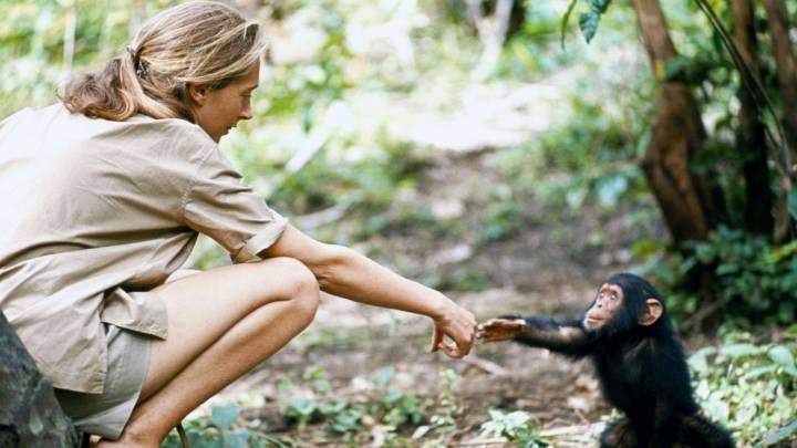 Muere la etóloga de 91 años Jane Goodall