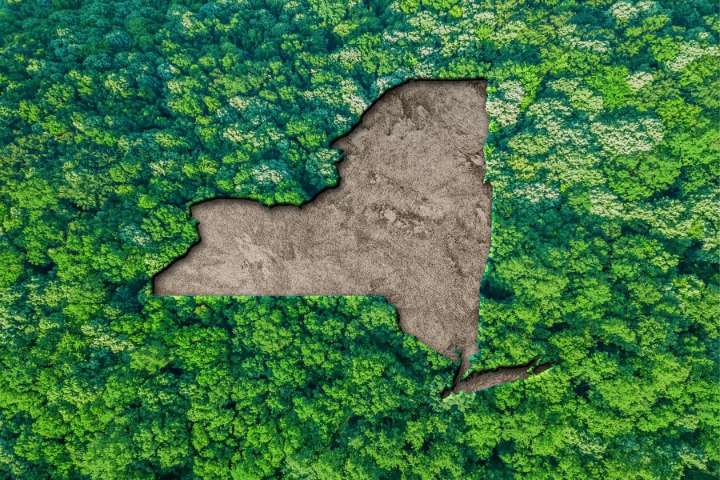 Hochul to appeal court ordered compliance with state climate law