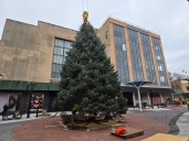 Elgin News Digest