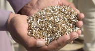 Importación de insumos agrícolas en Perú registra “descenso”: volumen crece, pero precio cae, ¿por qué?