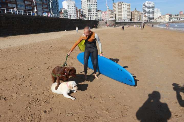 «En la playa se lo pasan mejor que en el parque»: así fue la vuelta de los perros a San Lorenzo