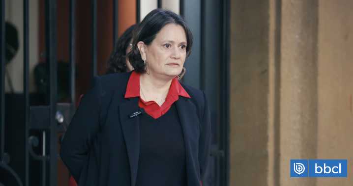 ENAP por viajes de Albornoz: "Los directores pueden realizar viajes que involucren un apoyo a su rol"