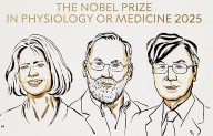 Dan el Premio Nobel de Medicina por la tolerancia inmune periférica; inician reconocimientos mundiales