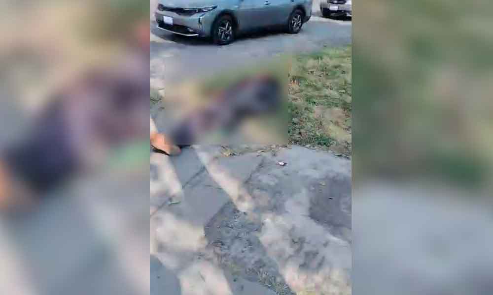 MUERE HOMBRE TRAS SER ATROPELLADO FRENTE A LA CENTRAL DE ABASTOS