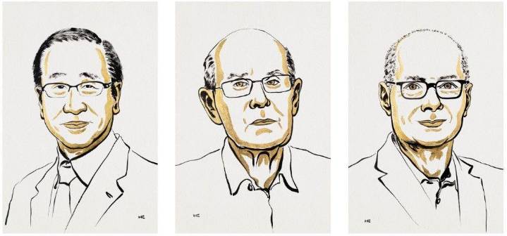 Tres científicos ganan el Nobel de Química por el desarrollo de “estructuras metalorgánicas”