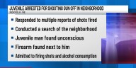 Police: Juvenile arrested after drinking and discharging weapon in Norfolk, NE
