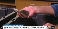 Turning manure into magic: Iowa farmer, ISU researchers use byproduct to cut synthetic fertilizer use