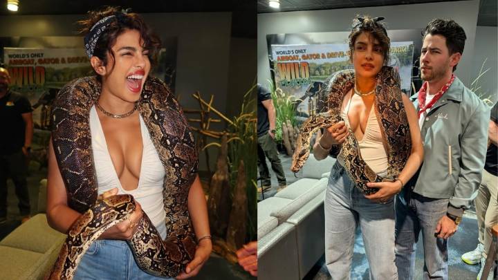 Priyanka Chopra Embraces Her Wild Side In Playful New Snake Photos With Nick Jonas