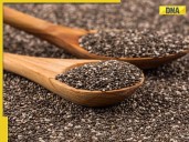 How adding chia seeds to your morning routine can help to grow hair