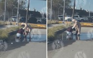 Video: Atacan abejas a fumigadores afuera de casino