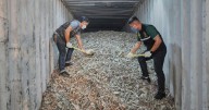 Report: Electronic waste from US pollutes Southeast Asia