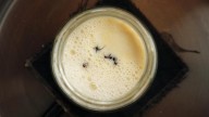 La receta balcánica del “yogur de hormigas” llega a la alta cocina del restaurante Alchemist