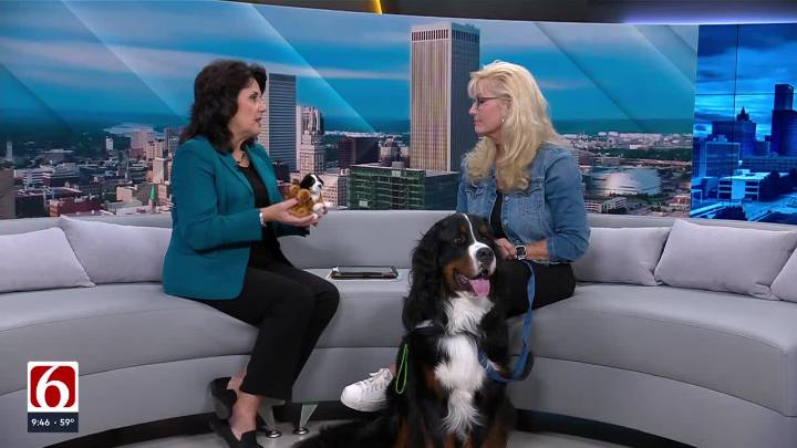 Author Lisa Bain and Moose Help Kids Find Belonging in 'Moose's Perfect Place'