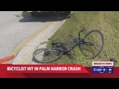 Bicyclist hit after crash in Palm Harbor