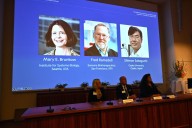 ¿Que es la tolerancia inmunológica periférica que ha justificado el Premio Nobel?