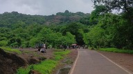 Bombay HC Forms High-Powered Committee To Oversee Sanjay Gandhi National Park Boundary Wall Construction And Prevent Encroachments