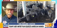 Farmers push back on foreign beef imports amid mounting losses