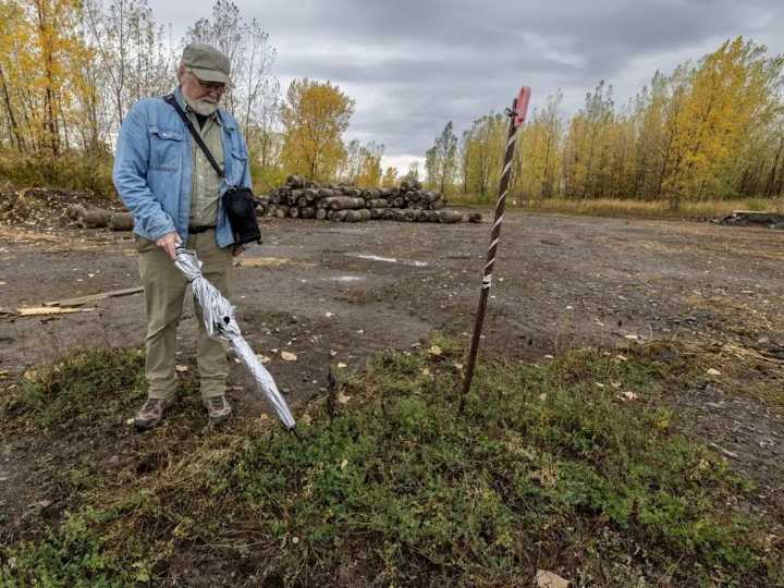 Trudeau airport authority admits its contractor razed a meadow, ignoring conservation measures