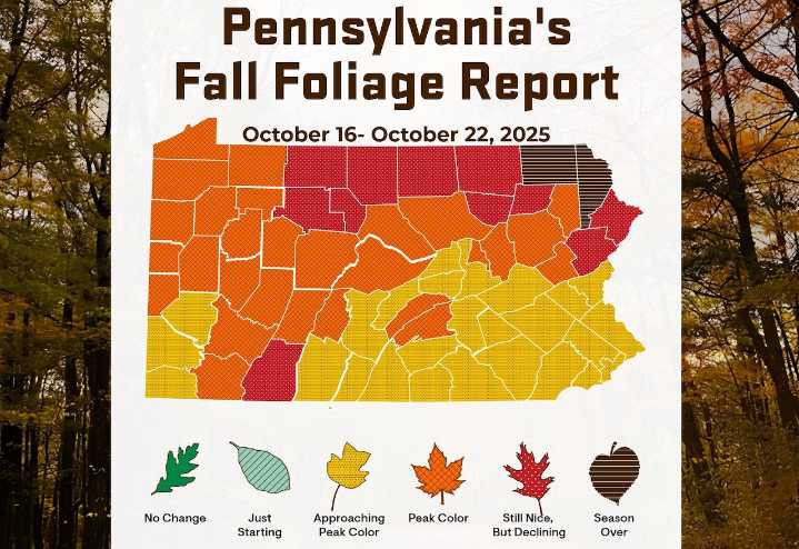 New fall foliage report: chilly nights have ‘kicked leaf color into high gear’ across Pa.