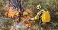 Los trabajadores afectados por los incendios de este verano ya pueden solicitar las ayudas de la Junta