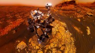 NASA Just Confirmed The Discovery Of "Coral" On Mars