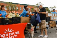Pinched for Pet Food: Hunger Pains Extend to New Yorkers’ Furry Friends