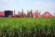 Cuatro ingenios azucareros son transferidos al sector privado en colaboración con el Gobierno, informa Fedecámaras
