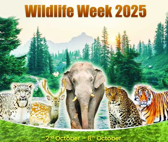 Wildlife Conservation in Jammu & Kashmir
