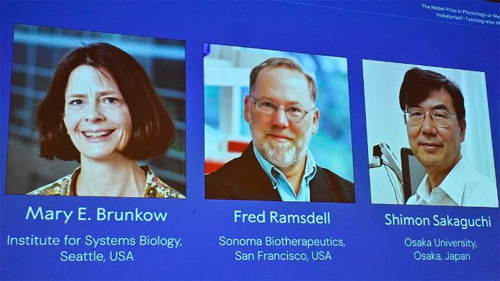 El premio Nobel de Medicina 2025 fue otorgado a Mary E. Brunkow, Fred Ramsdell y…