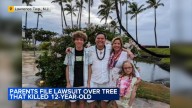 12-year-old boy dies after tree falls on him while playing in New Jersey backyard
