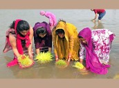 Solemnization of Maha Yagyas, immersion of  Saakh mark culmination of 9