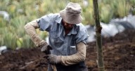 FEDe sostiene que el uso del suelo debe definirse desde las regiones y no desde Bogotá