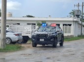 Halla a una serpiente dentro de su vehículo en Tizimín