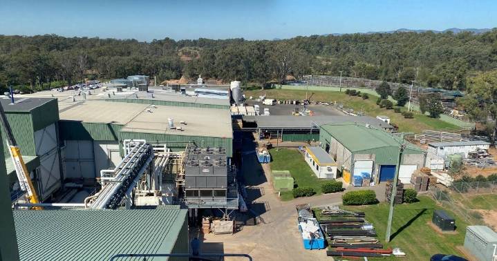 EC Throsby abattoir expansion to boost output
