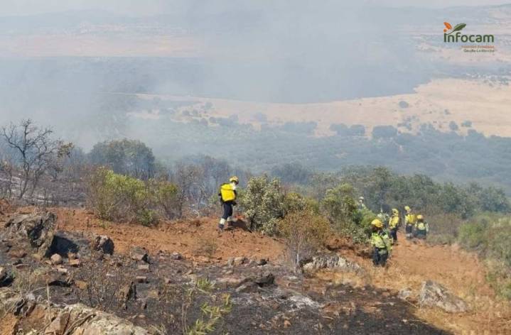 Bomberos que apagaban un incendio hallan una fosa con cadáveres en un pueblo de Toledo