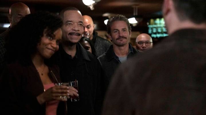 'Law & Order: SVU': Aimé Donna Kelly Gives Update on Fin's Return (Exclusive)