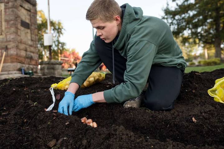 Done in an hour: Slippery Rock University Greek life makes quick work of planting project